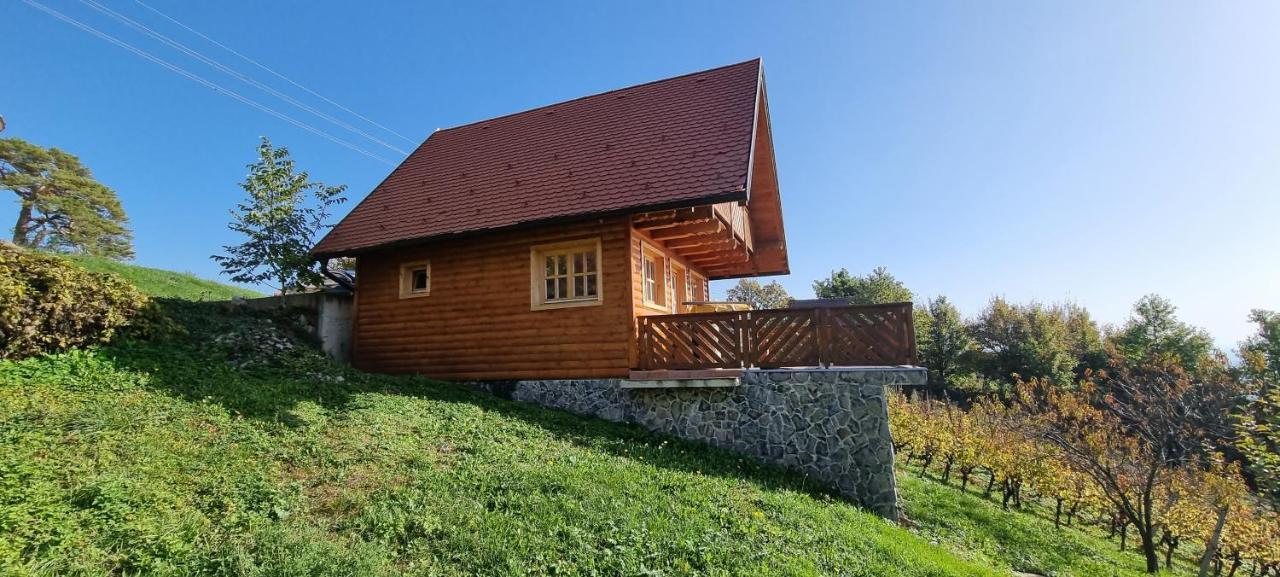 Willa Wine Panorama House Jastrebarsko Zewnętrze zdjęcie