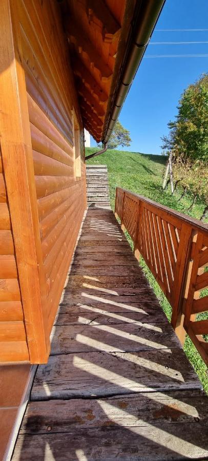 Willa Wine Panorama House Jastrebarsko Zewnętrze zdjęcie