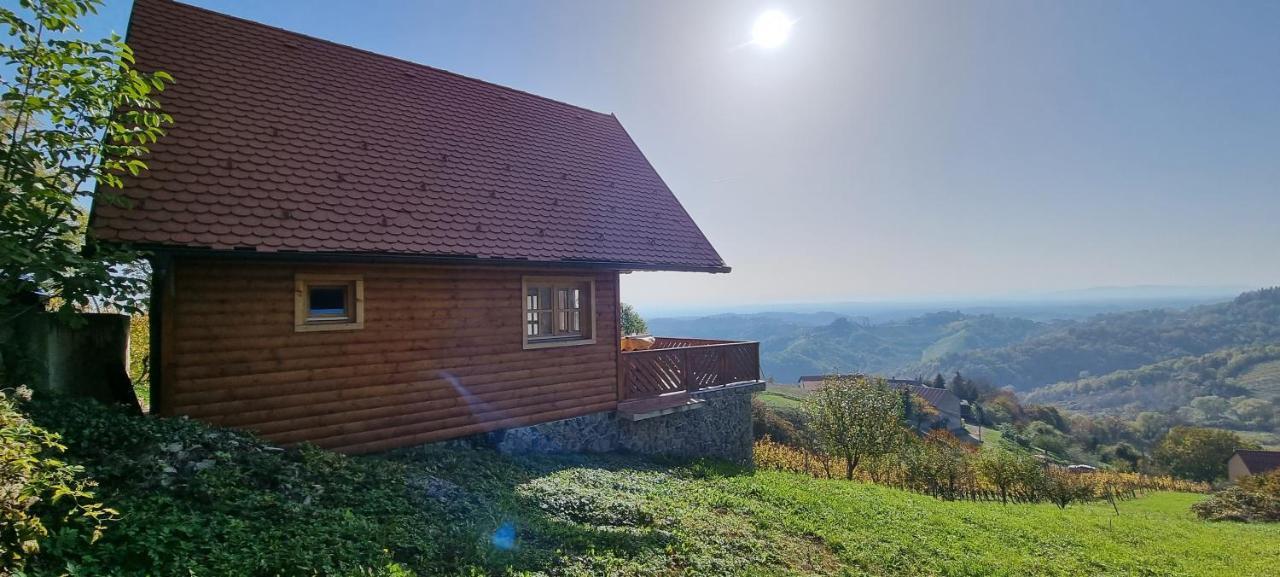 Willa Wine Panorama House Jastrebarsko Zewnętrze zdjęcie