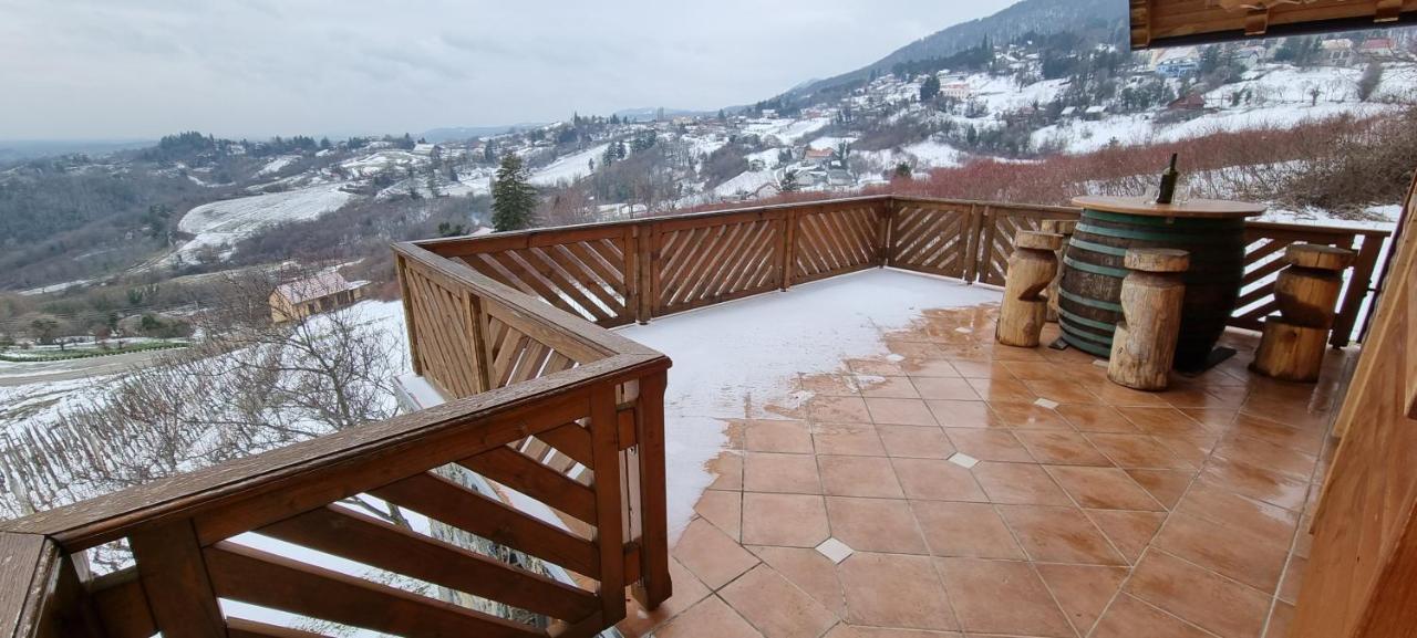 Willa Wine Panorama House Jastrebarsko Zewnętrze zdjęcie
